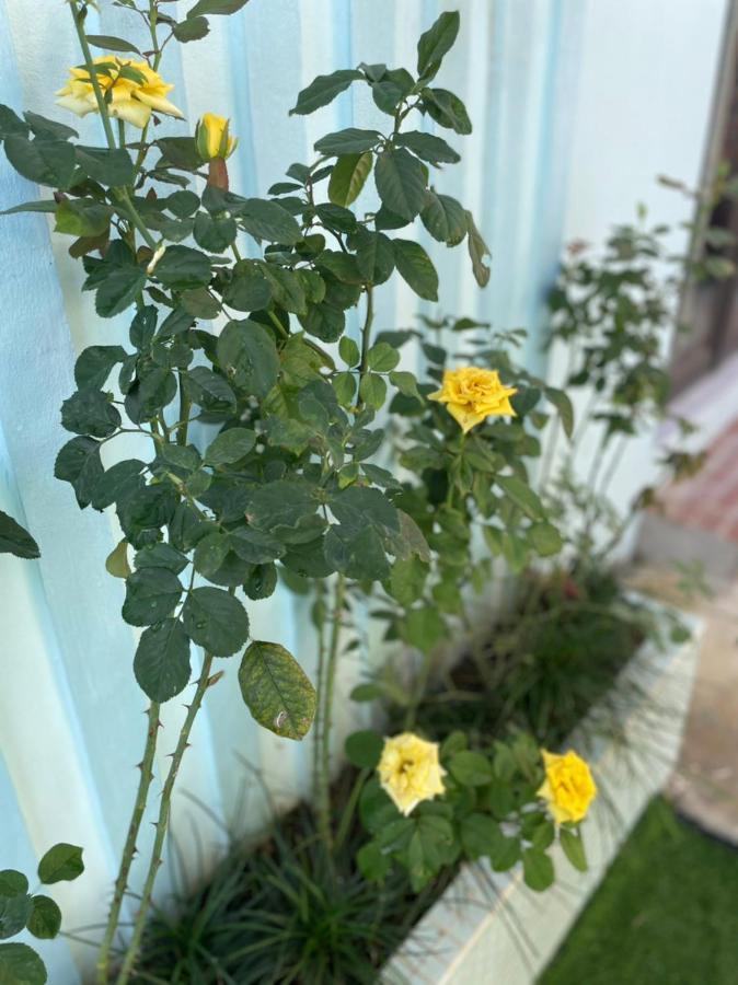 An Bungalow - Mai Chau Villa Hoa Binh Luaran gambar